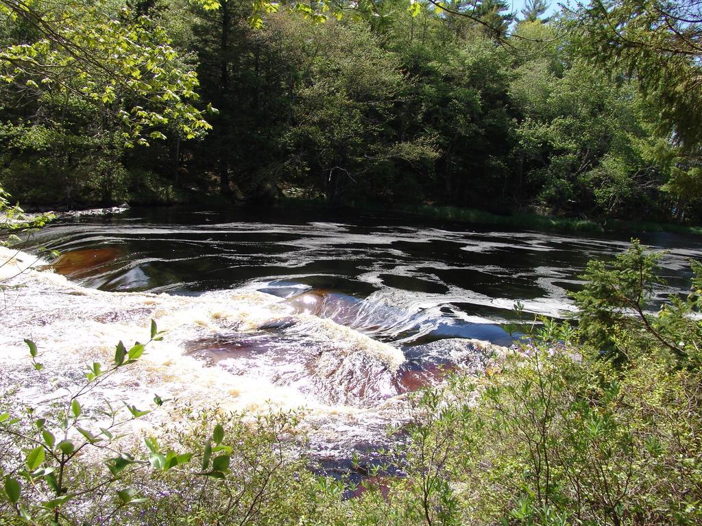 Roseway River Cottages Shelburne Kültér fotó