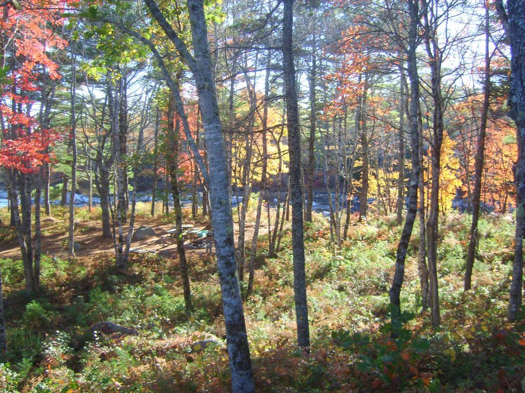 Roseway River Cottages Shelburne Kültér fotó