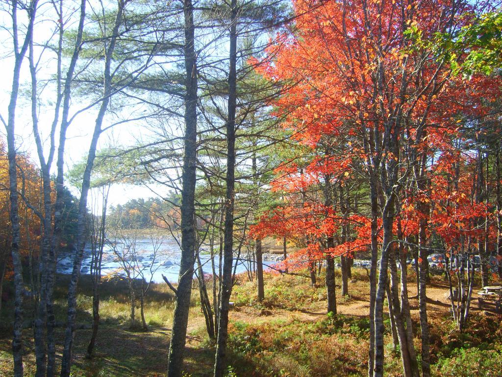 Roseway River Cottages Shelburne Kültér fotó