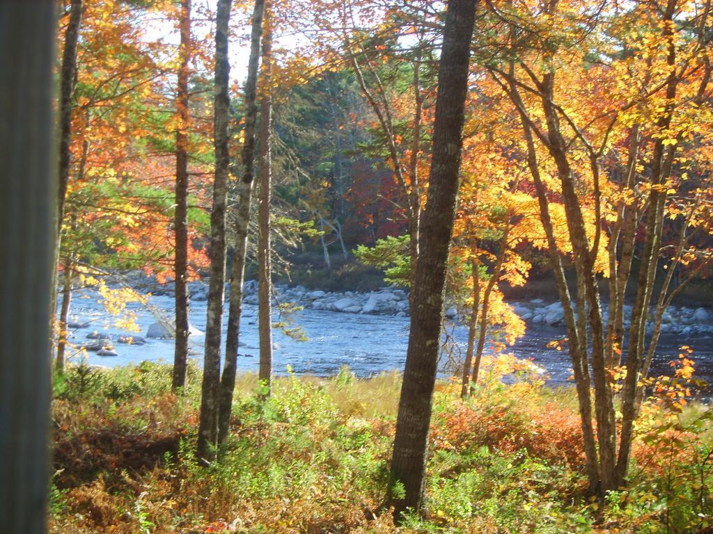 Roseway River Cottages Shelburne Kültér fotó