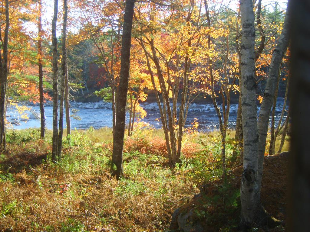 Roseway River Cottages Shelburne Kültér fotó