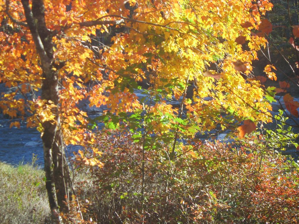 Roseway River Cottages Shelburne Kültér fotó