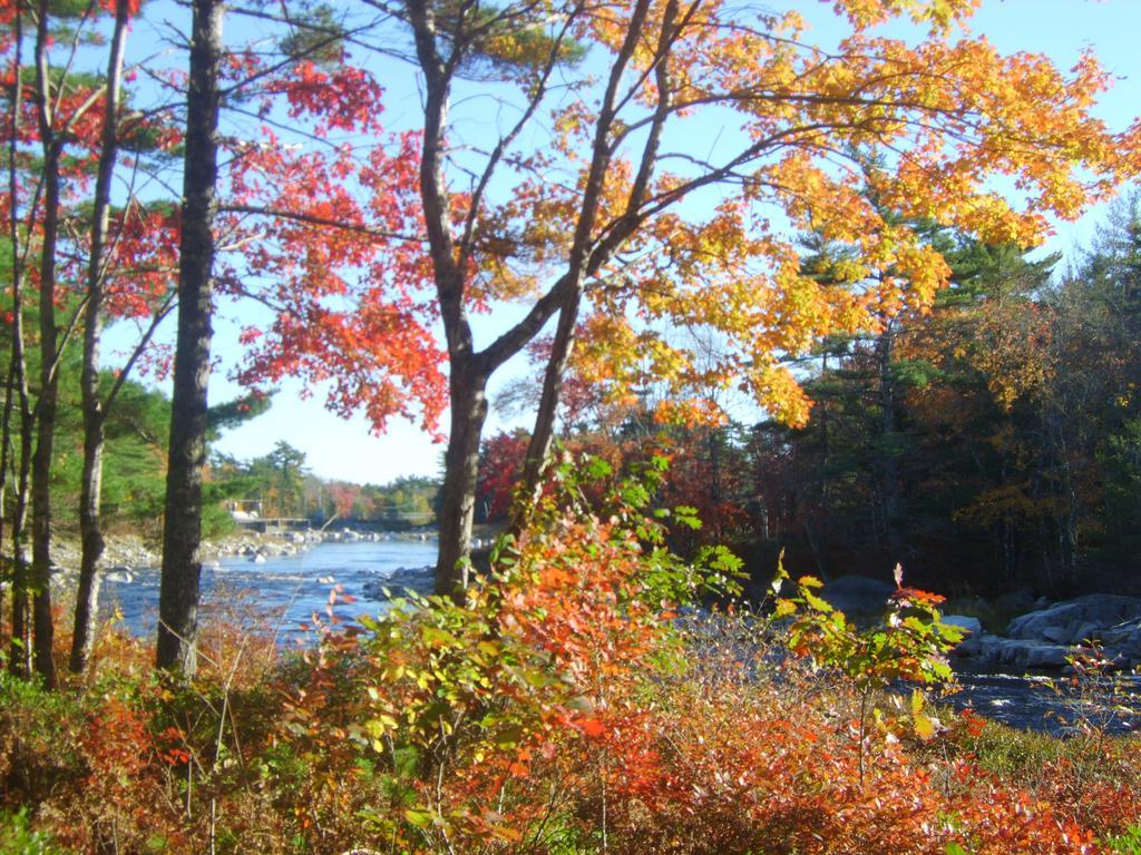 Roseway River Cottages Shelburne Kültér fotó