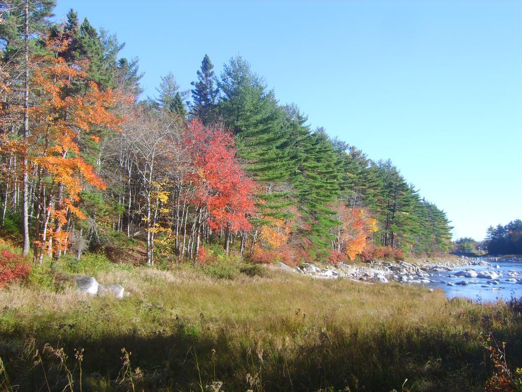 Roseway River Cottages Shelburne Kültér fotó