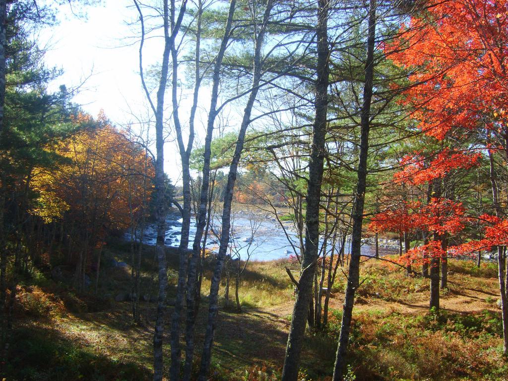 Roseway River Cottages Shelburne Kültér fotó
